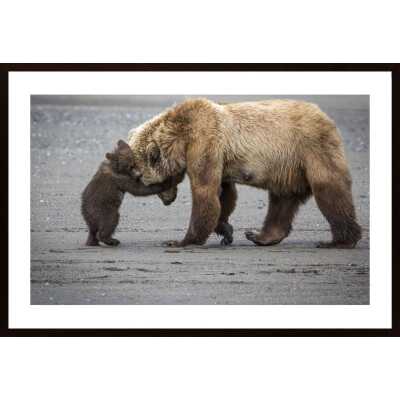 A Little Bear Hug Poster
