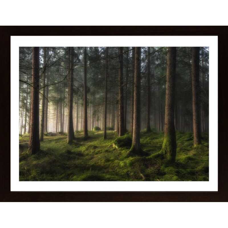 A Sense Of Spring Poster