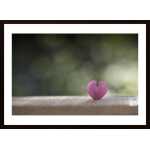 A Single Heart Poster