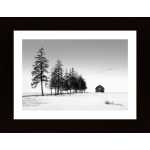 A Sunny Winter Day Poster