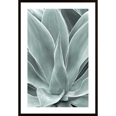 Agave Leaf Poster