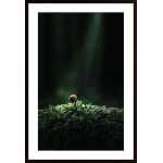 Alone In The Bog Poster