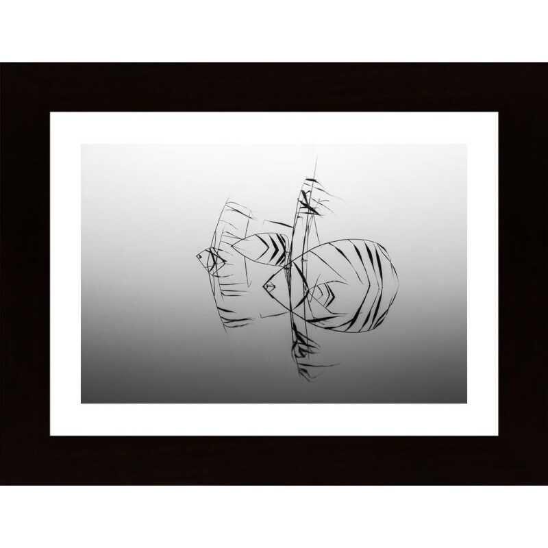 Angelfishes Poster