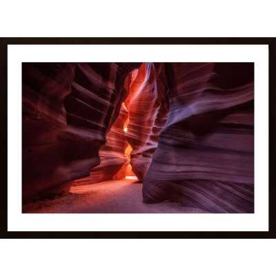Antelope Poster