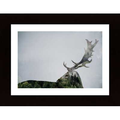 Antler Doubleexposed Poster
