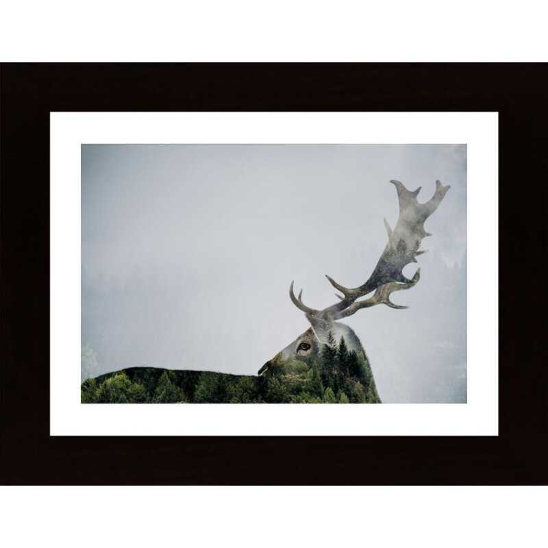 Antler Doubleexposed Poster