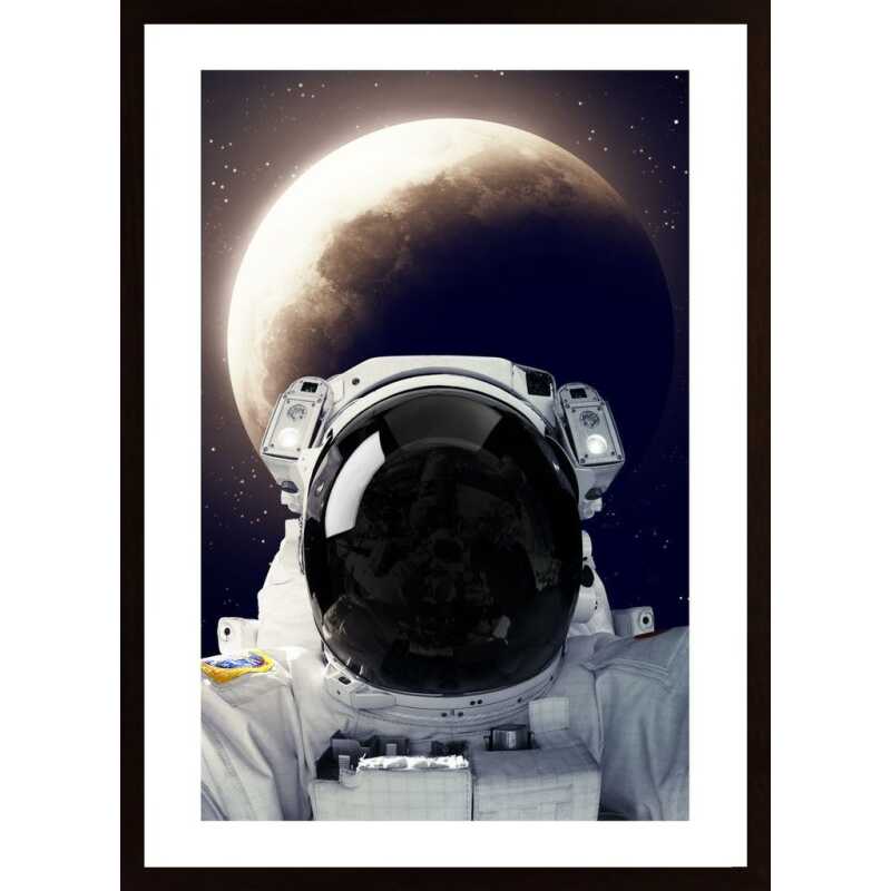Astronaut Poster Astronaut Poster