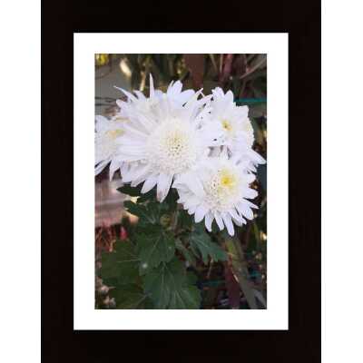 Autumn Flowers Poster