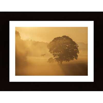 Autumn Morning Poster