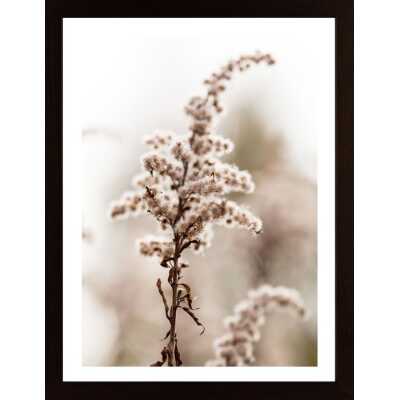 Autumn Plants Poster