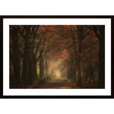 Autumn Walk Poster