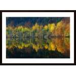 Autumnal Silence Poster