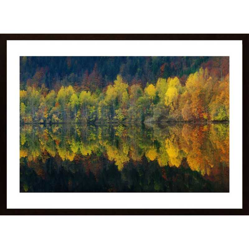 Autumnal Silence Poster