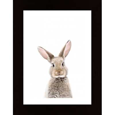 Baby Rabbit Poster