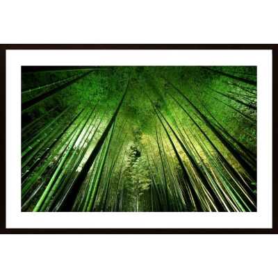 Bamboo Night Poster