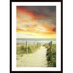 Beach Path View Poster