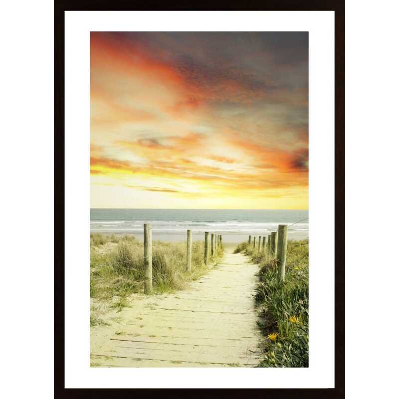 Beach Path View Poster