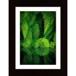 Beauty In Nature Poster