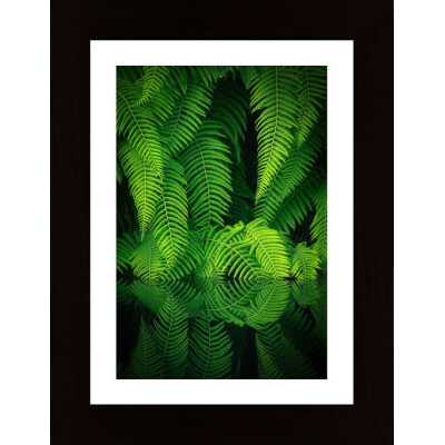 Beauty In Nature Poster