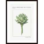 Bernard -Artichoke Poster