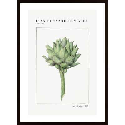 Bernard -Artichoke Poster
