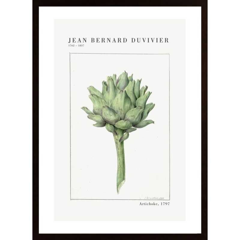 Bernard -Artichoke Poster