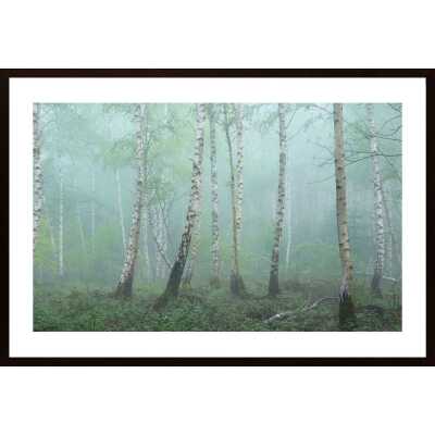 Birch Poster