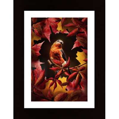 Bird Autumn Poster