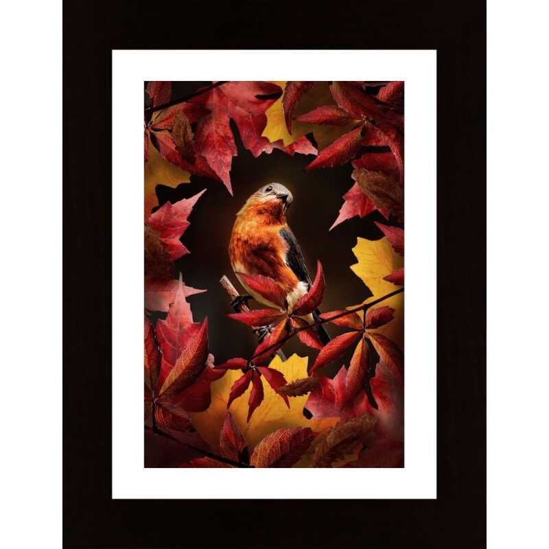 Bird Autumn Poster