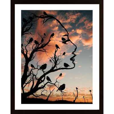 Bird'S Nest Poster