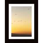 Birds In Sunset Poster