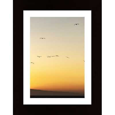 Birds In Sunset Poster