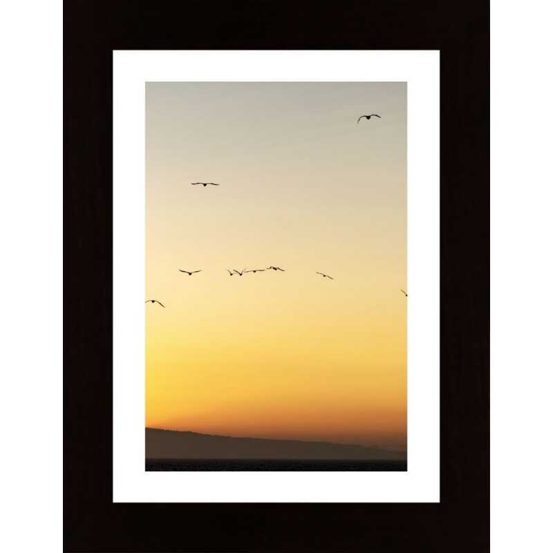 Birds In Sunset Poster