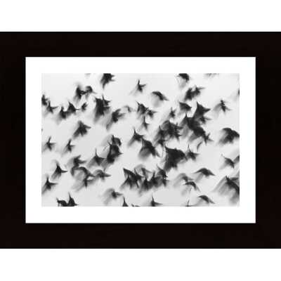 Birds Poster