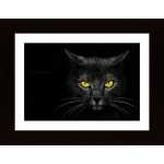 Black Cat Poster