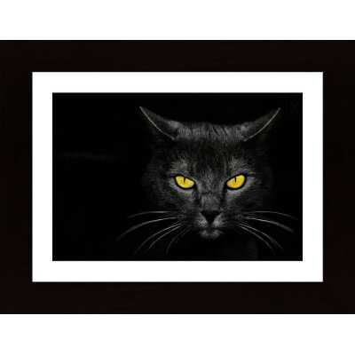 Black Cat Poster