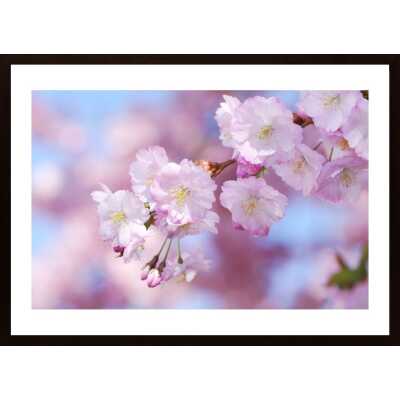 Blooming And Blue Sky Poster