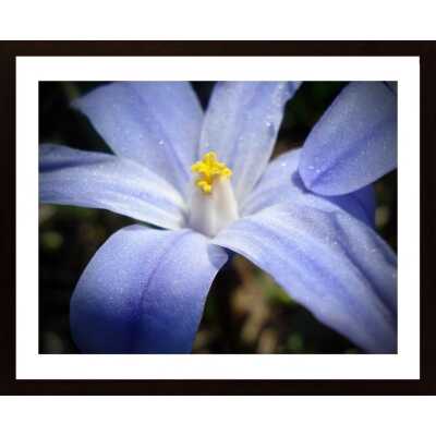 Blooming Blue Poster