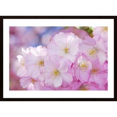 Blooming Poster