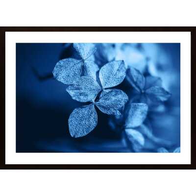 Blue Flowers Poster