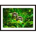 Blue Monkey Poster