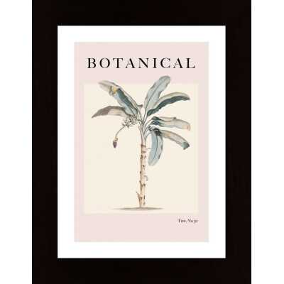Botanicalno30 Ratioiso Poster