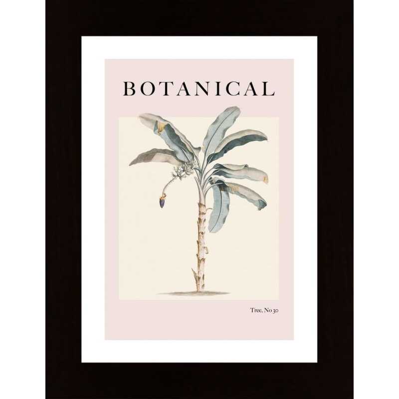 Botanicalno30 Ratioiso Poster