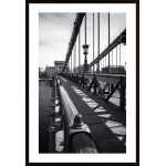 Bridge Poster