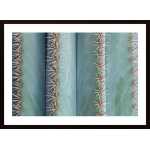 Cactus In Close-Up Poster