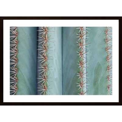 Cactus In Close-Up Poster