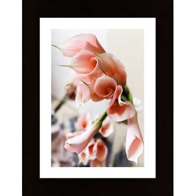 Calla Lily Flowers Poster