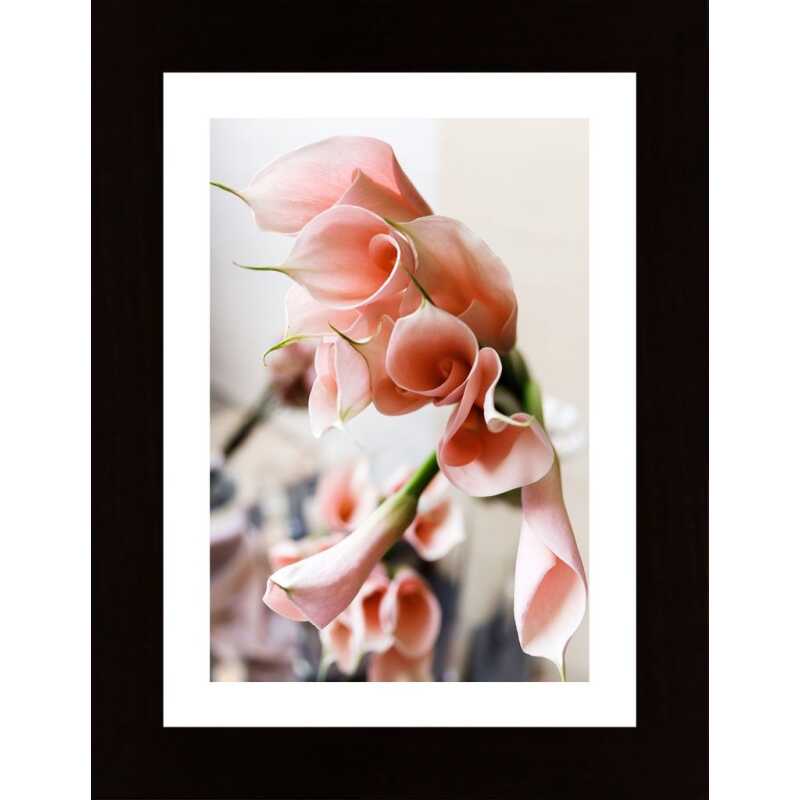 Calla Lily Flowers Poster