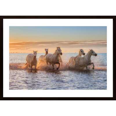 Camargue Horses Ii Poster