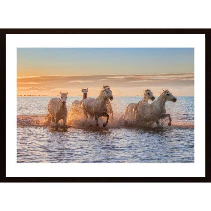 Camargue Horses Ii Poster